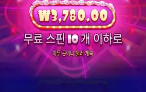 슈가1000