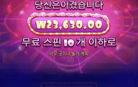 슈가1000