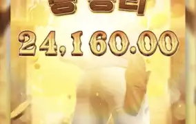 피지바운티2