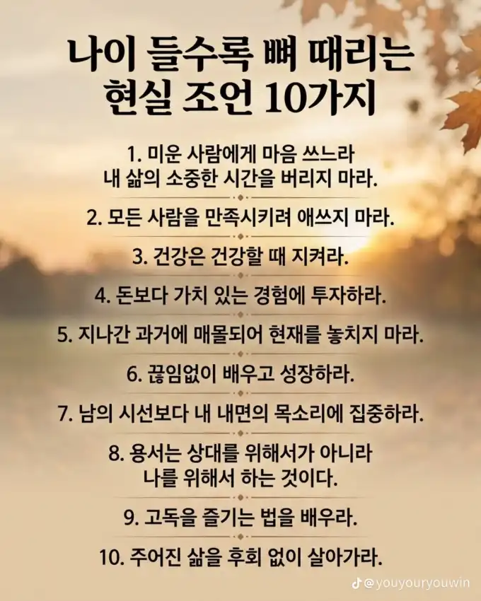 2026073110260656115c5a0a289aea622586fcbc6c2521.png
