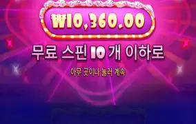 슈가1000