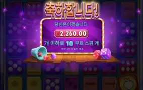 후르츠파티다이스
