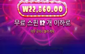 슈가 1000