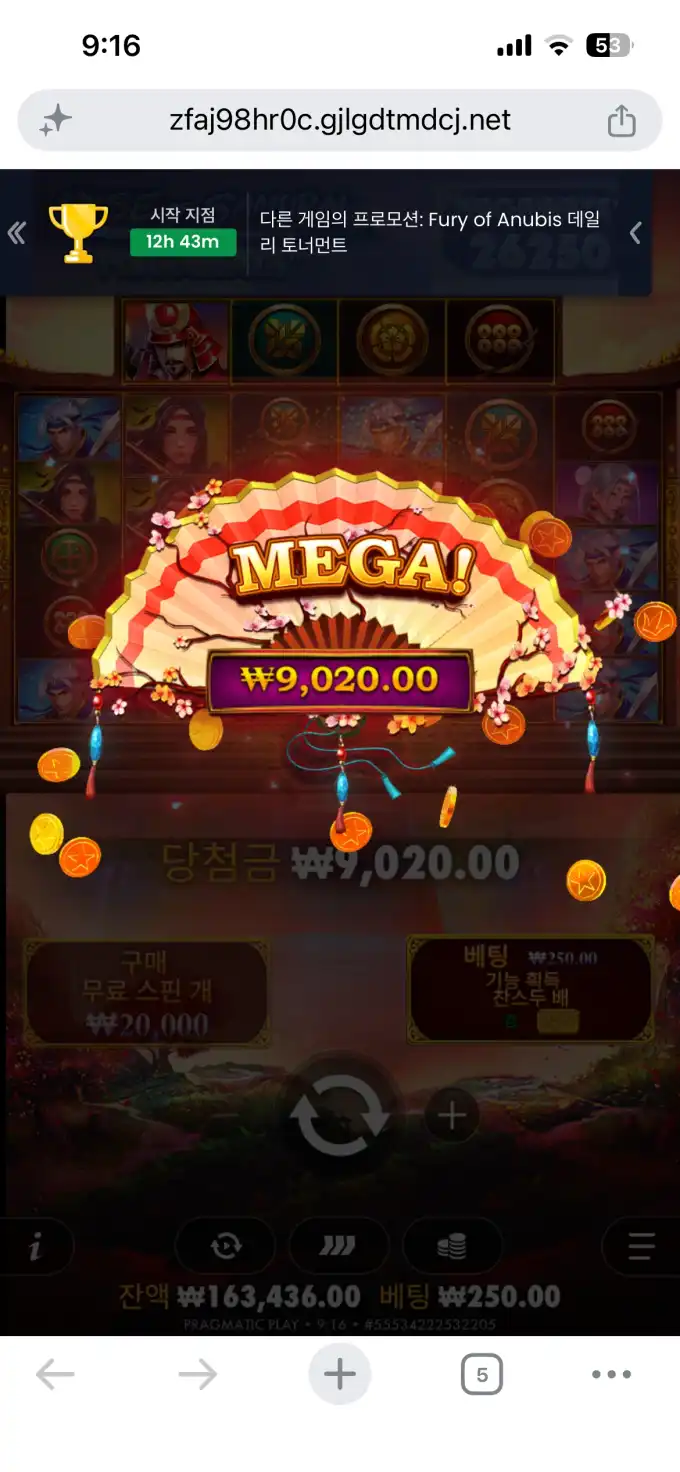 20260712093538IMG_8534.png