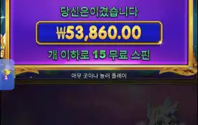 공주천연속구매