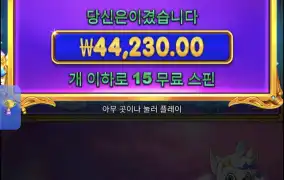공주천 구매