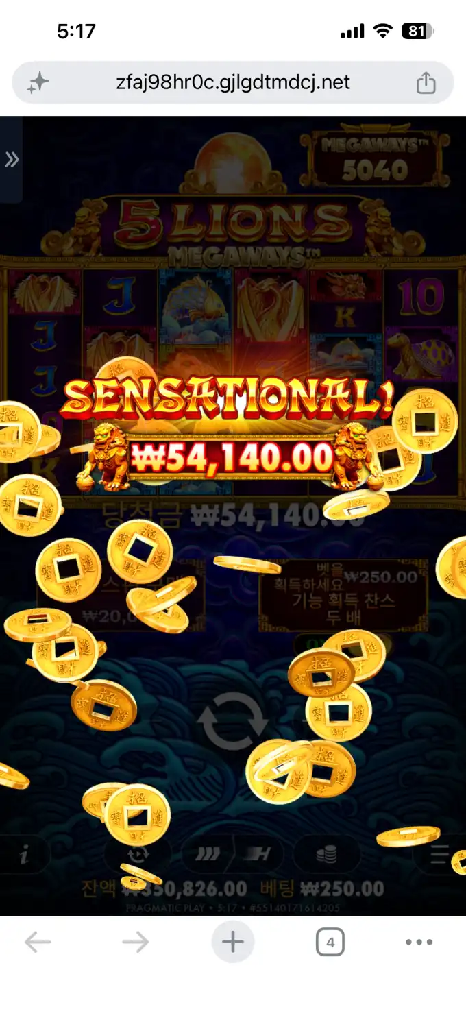 20260709191834IMG_8425.png