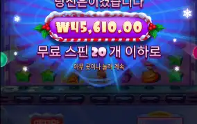 크리스슈가
