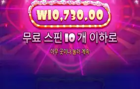슈가 1000
