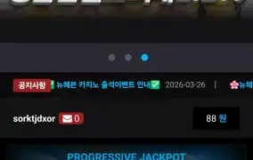 뉴헤븐후기