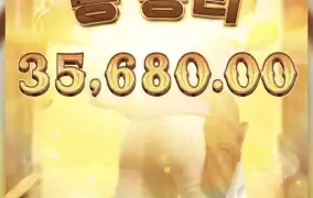피지바운티