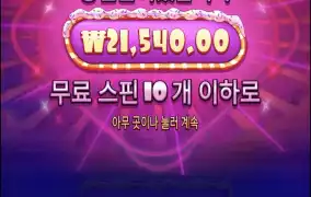 슈가1000