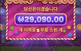 젤리 익스프레스