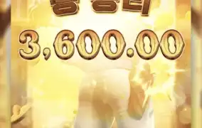 피지바운티