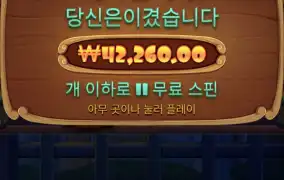 도그하우스 다이스