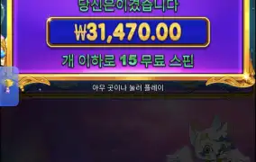 공주구매