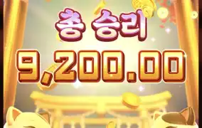 피지 네코