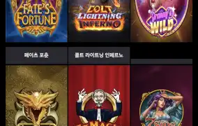 뉴헤븐후기