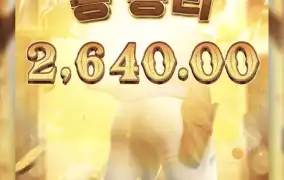피지바운티