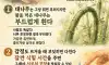 인생마인드