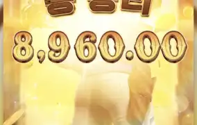 피지바운티