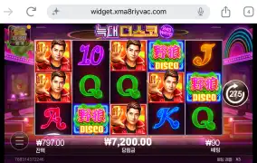 시큐 늑대디스코