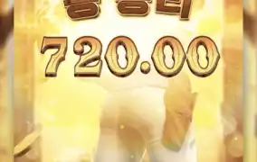 피지바운티