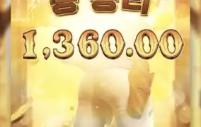 피지바운티2