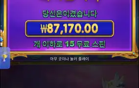 공주천 구매