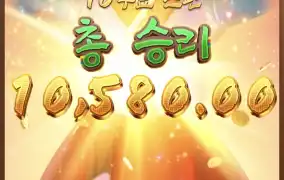 피지왕비