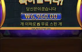 올푸스캐터