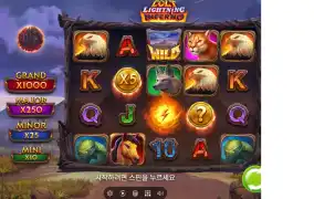 뉴해븐 후기