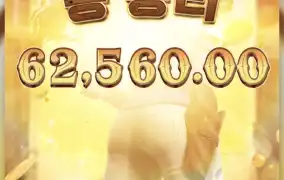 피지바운티
