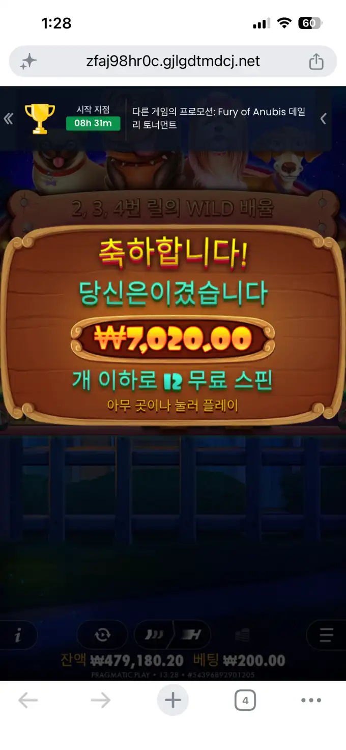 20260703144430IMG_8113.png