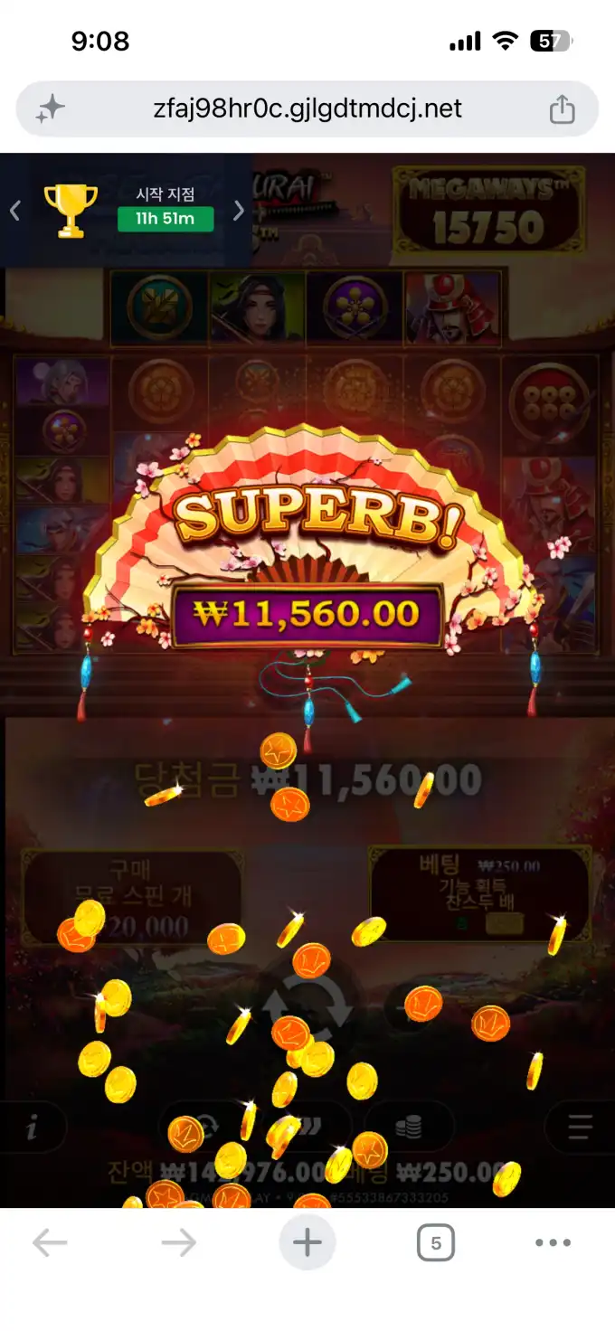 20260712093537IMG_8531.png