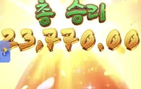 피지왕비