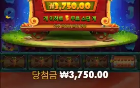 슬롯 접었다 와야할듯