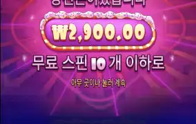슈가 1000 구매3번