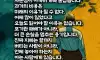 똥고집