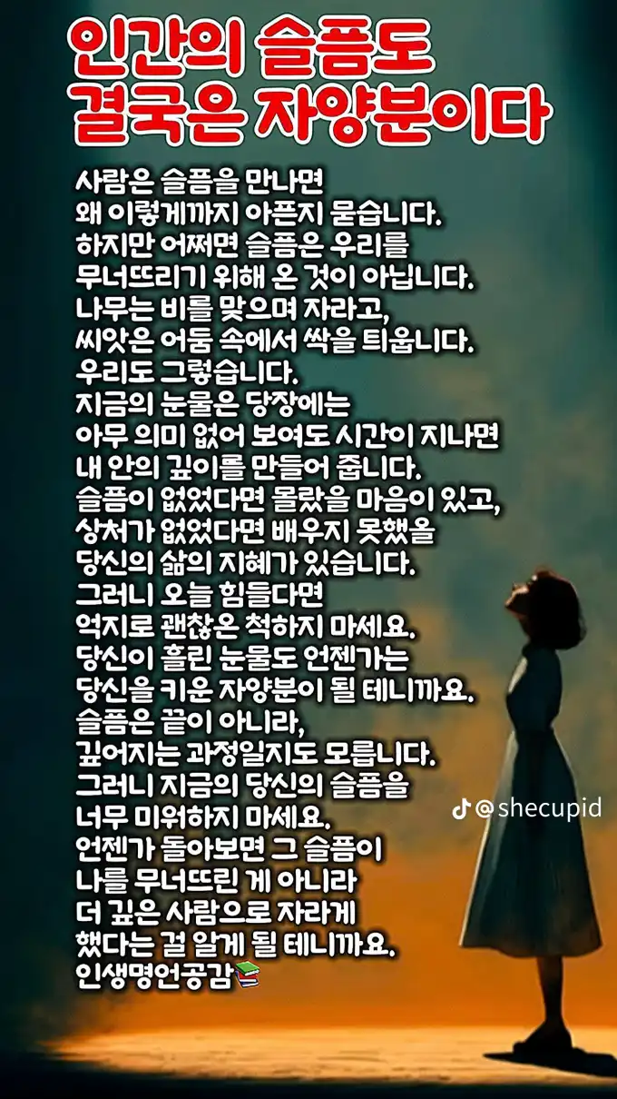 202608250149092eea7e69a202729fbed6b82ce6751c20.webp