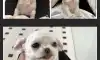 애가 할머니댁 베개처럼 생겼어