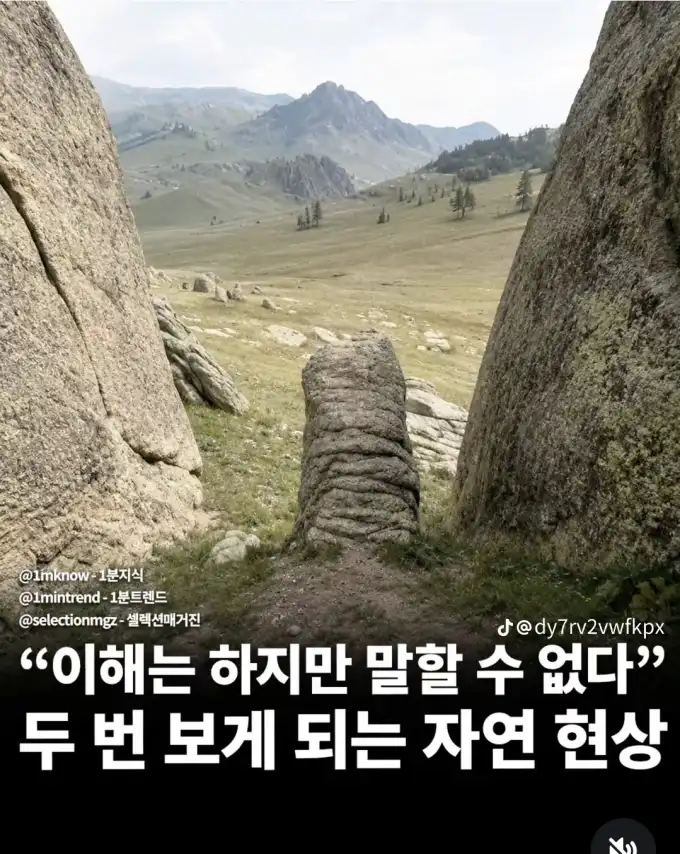 202608112013545d35fc37aa949e41c0188c8011f5cea9.webp