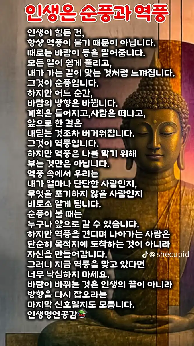 20260815210544a33d00a2d5c6eab390c5da1da26dd58a.webp