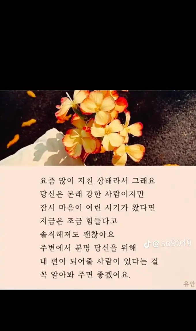 202609211045146968bedcac07f604108596be890fa988.webp