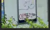 흡연자에게 현타 온 초딩