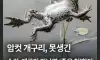 못생긴 수컷 만나면 죽은척
