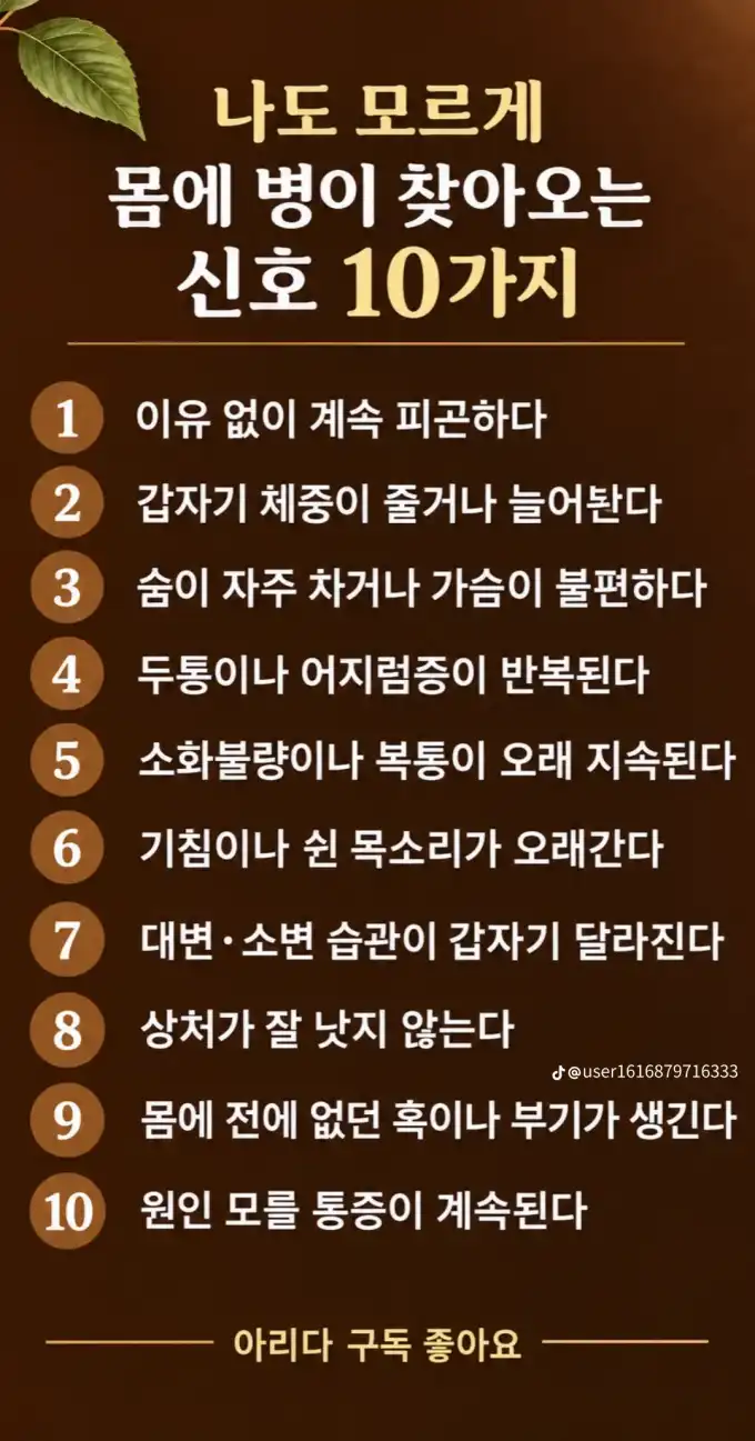 202609201810229a346633af46bce2851864e28beea013.webp
