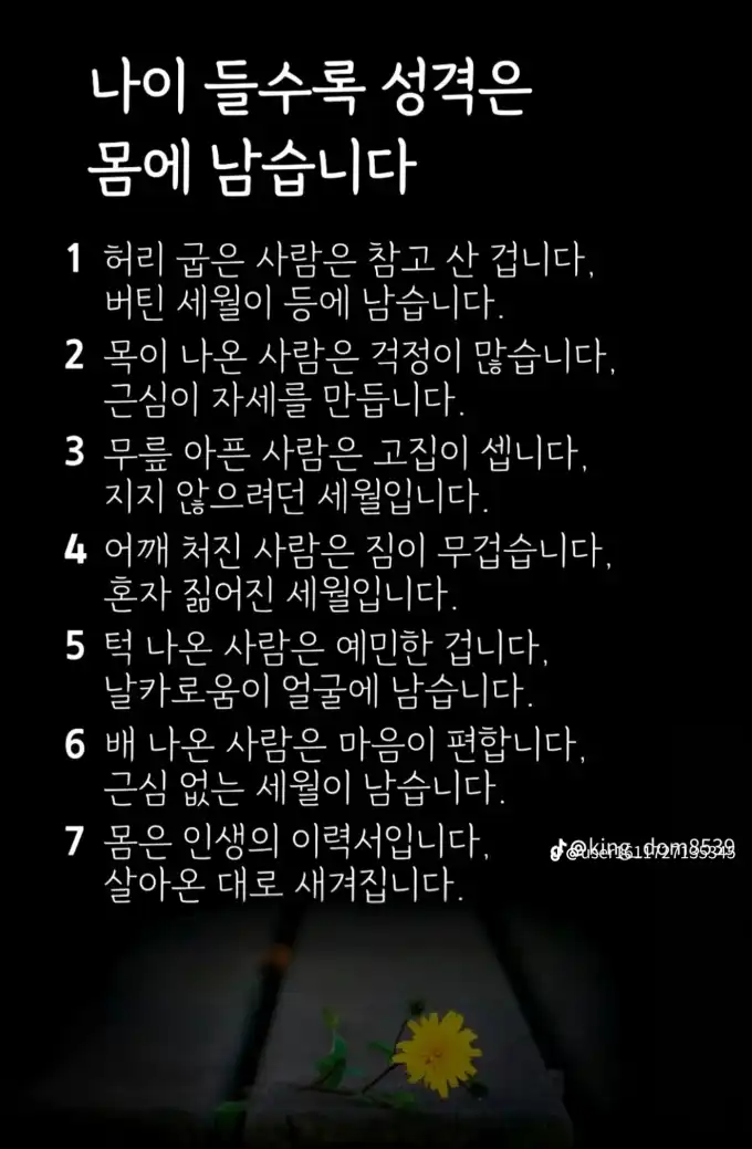 202609061237068d85d8eb704bb16ea0526832871658ba.webp
