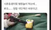 사촌동생의 극단적인 처방