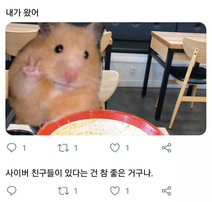 7b4772d64cf5f229feafb75641d71059.png 사이버 친구가 있어서 행복한 햄찌